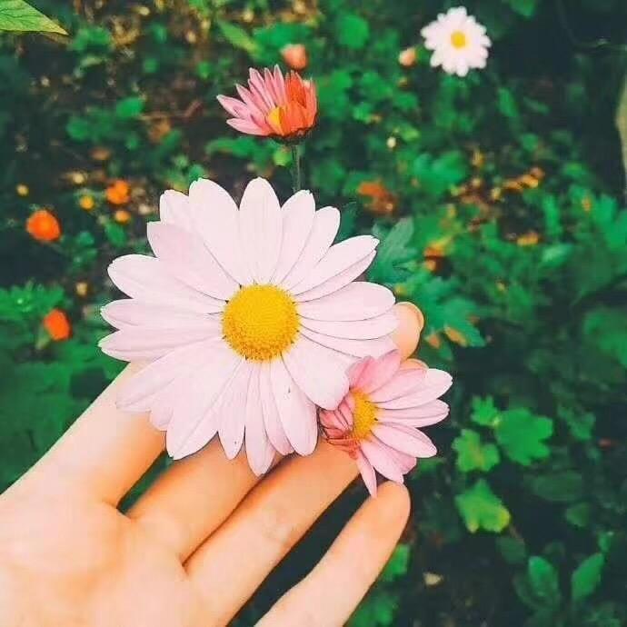 简单最美💕