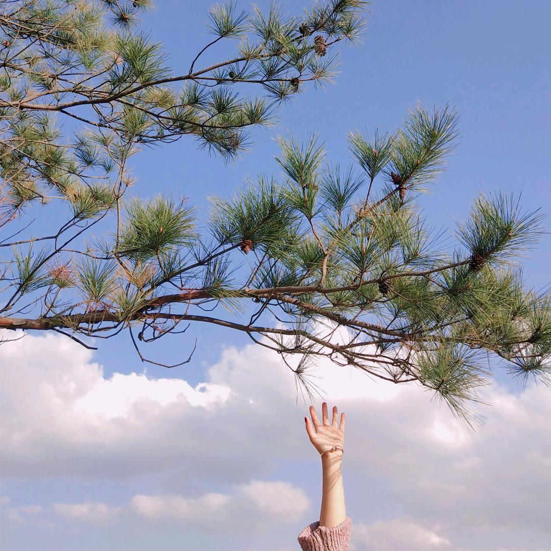 ღᩚ᭄归零ৡᩚ࿐