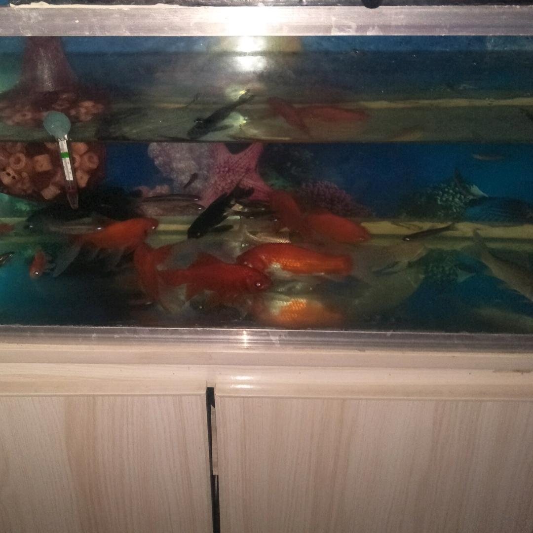 忆*流年