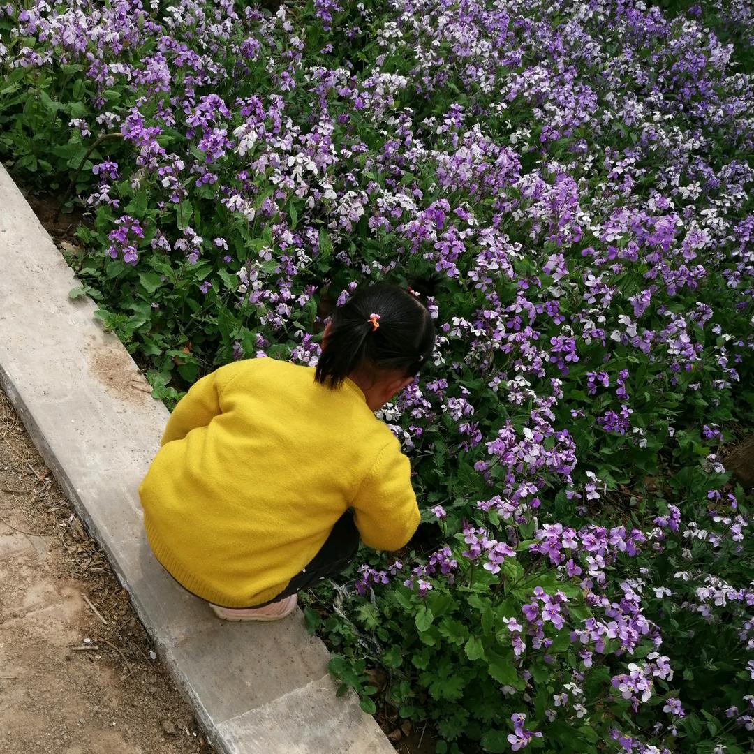 随风旅行