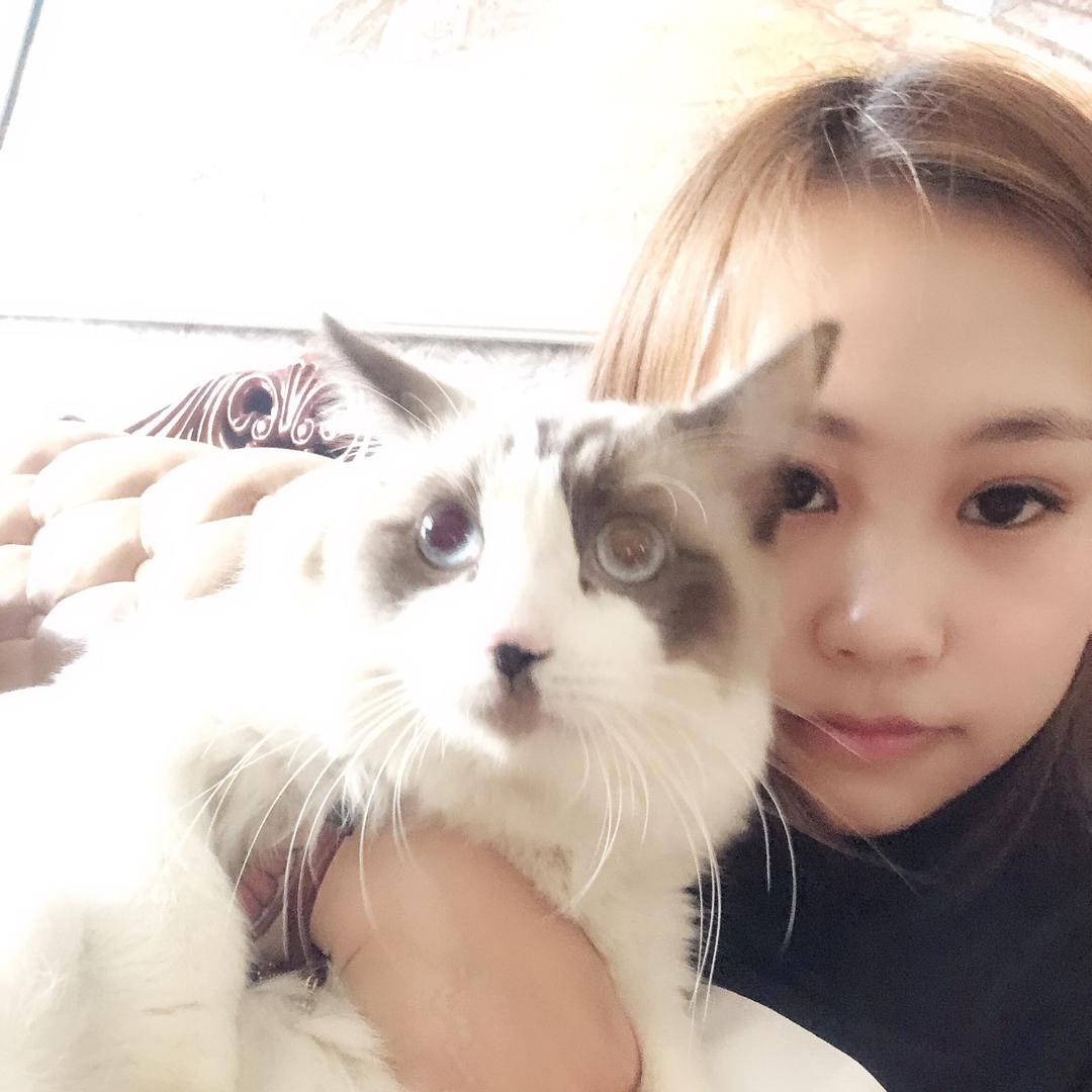东南西北风、