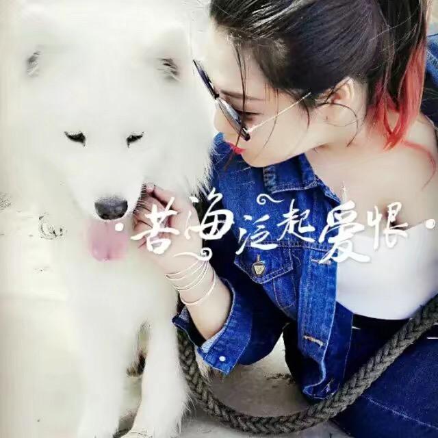 夹心刘奶糖✪ω✪