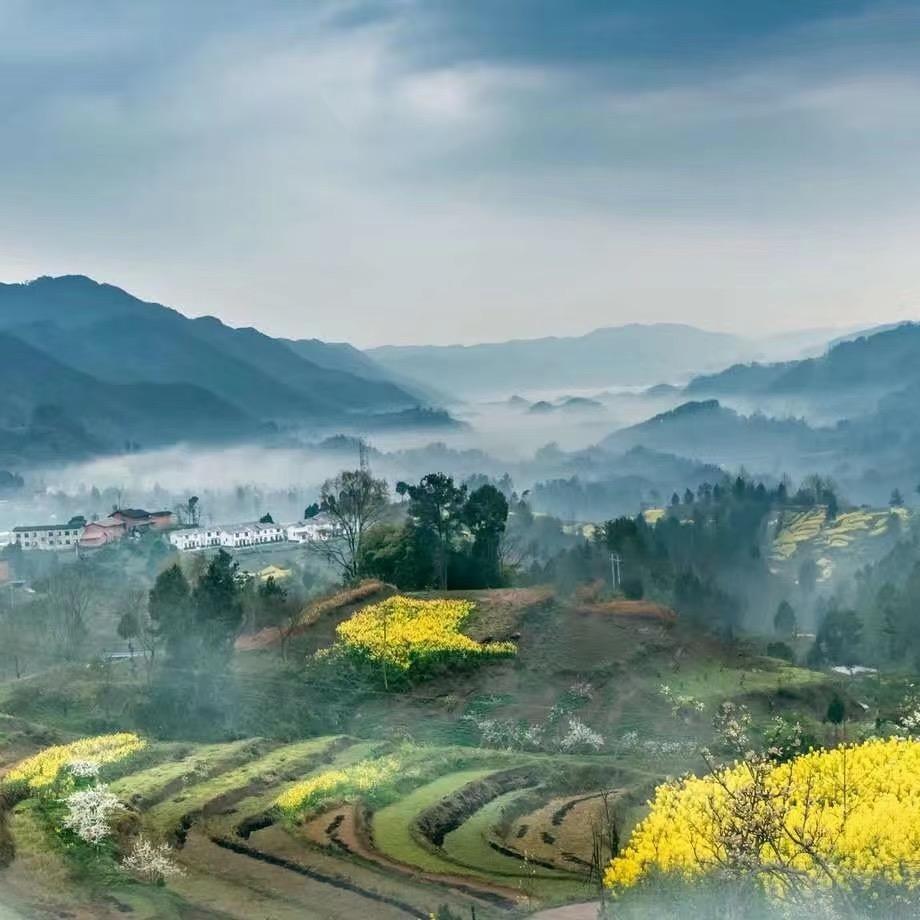 山居闲人