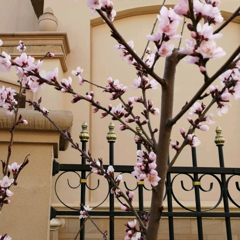 有故事的💜老兵，会颠覆你的认知哦………