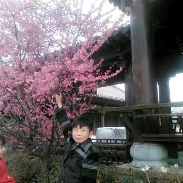 ：未来会更好