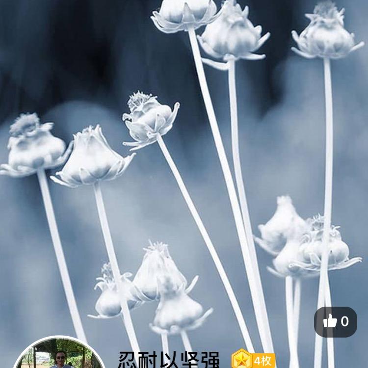 忍耐以竖强