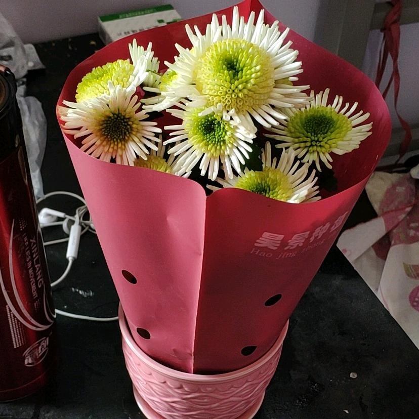 ❦༺魚龍幫༻❦