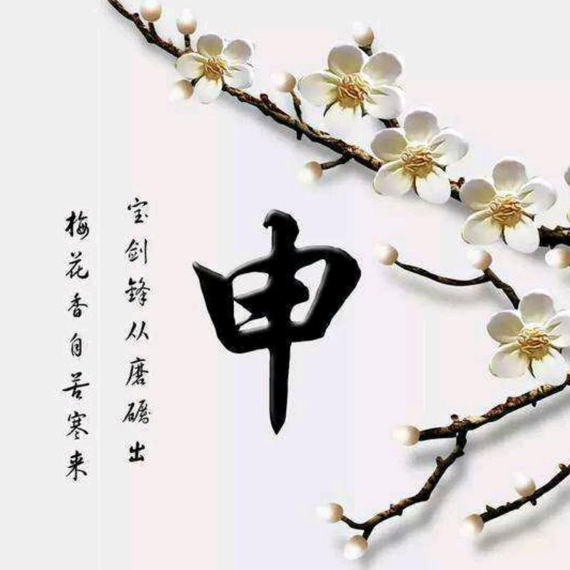 宽哥