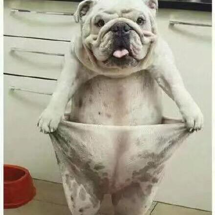 凭啥蚊子老叮我