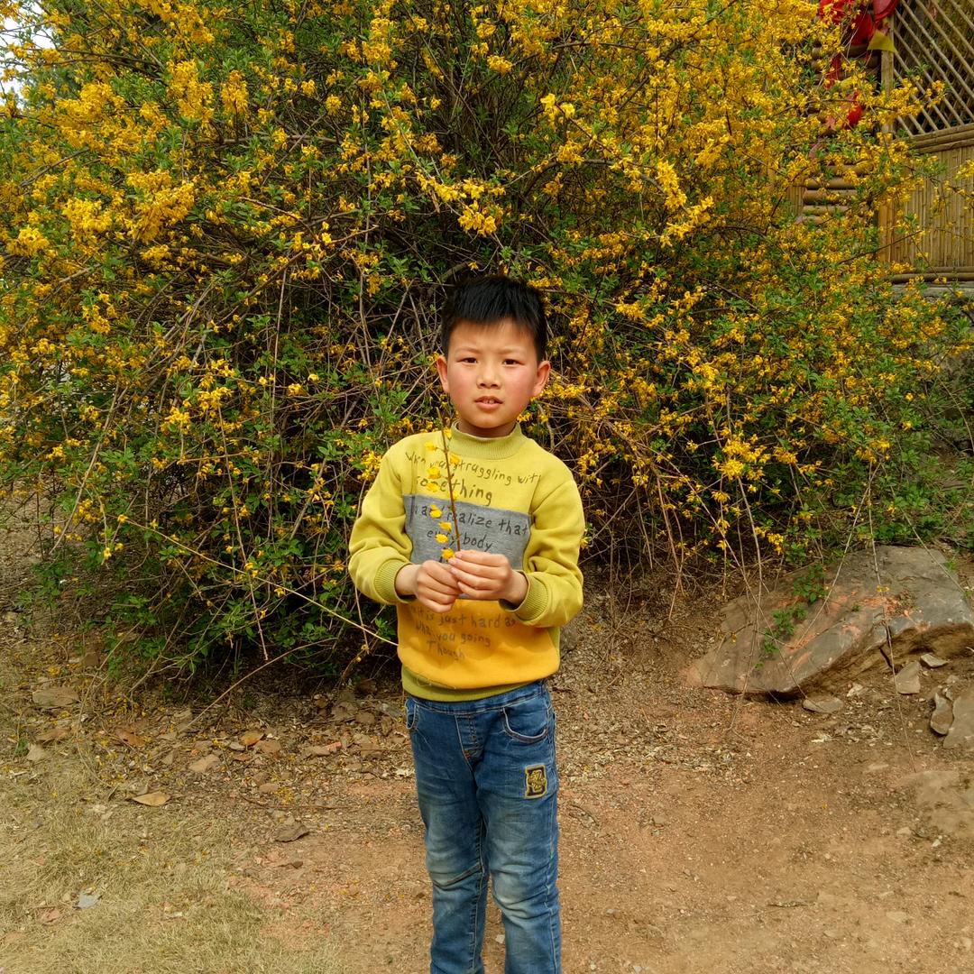 陈雪水果🐵🐵🐵🌹🌹🌹