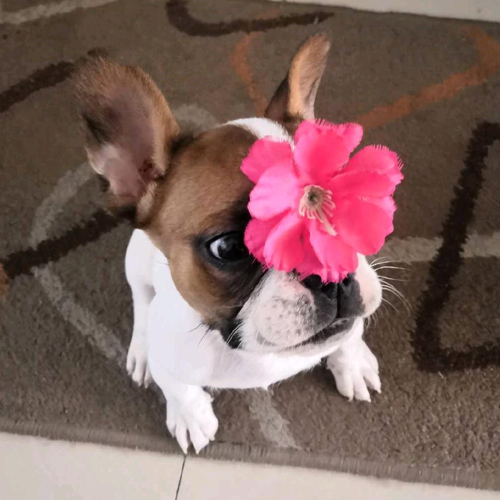 辰辰的姐妹💋💃💃