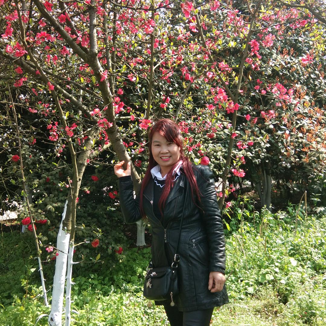 :雪中花蕊