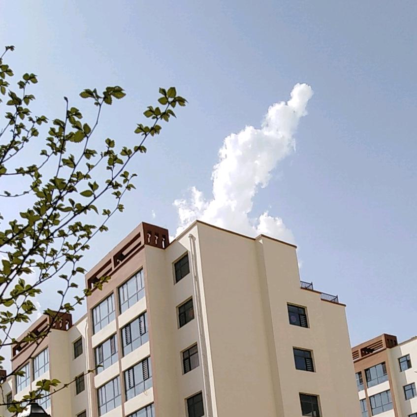 手头紧，时间紧，衣服紧，眉头紧，前程四紧