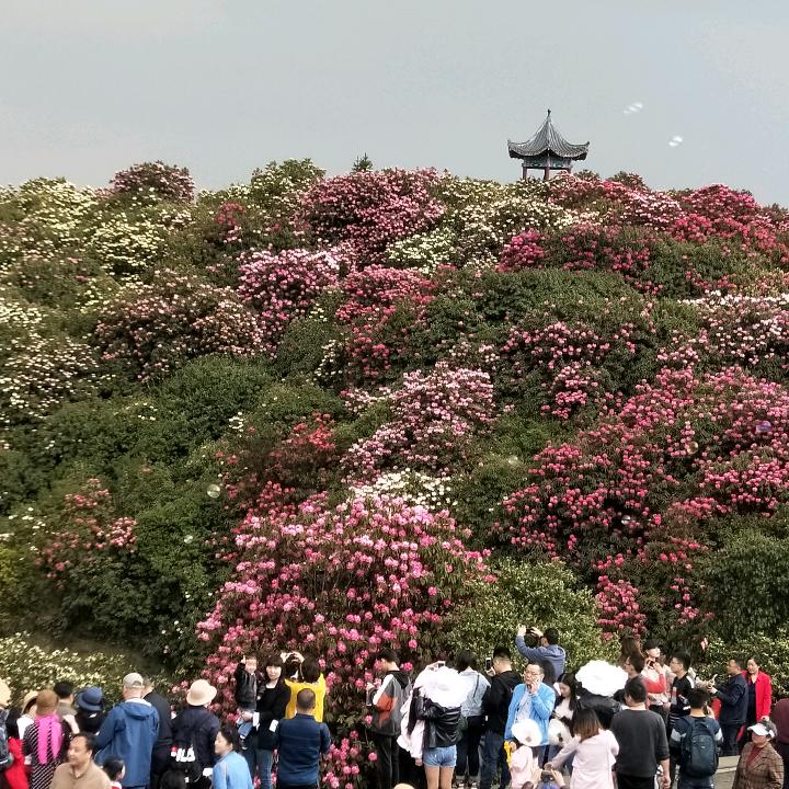 财源广进。