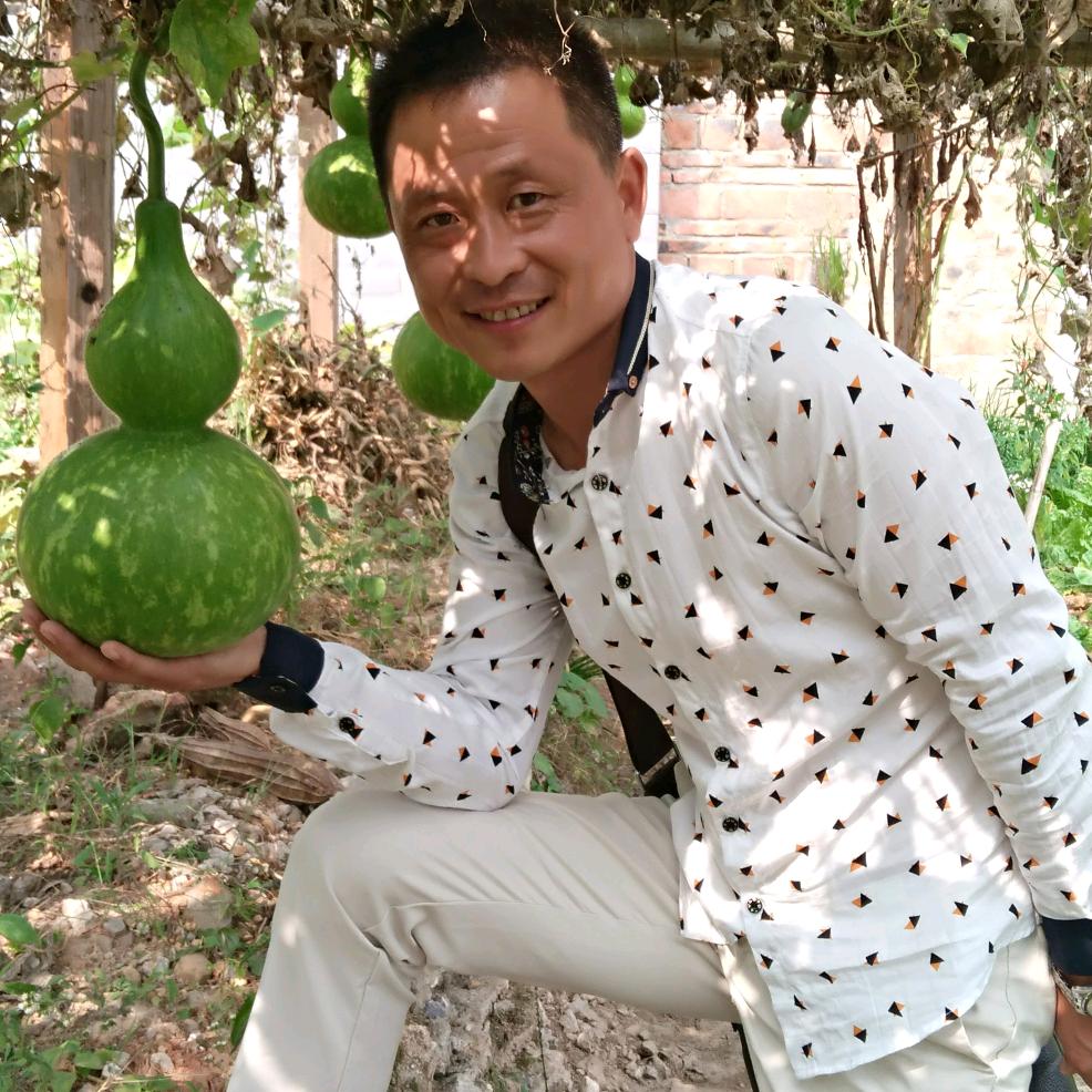 博宇