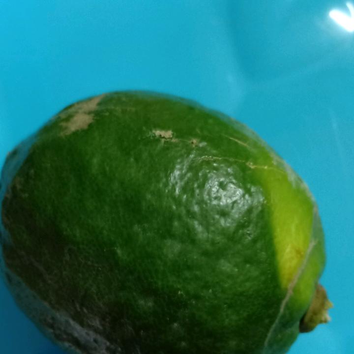 八总（农民工）