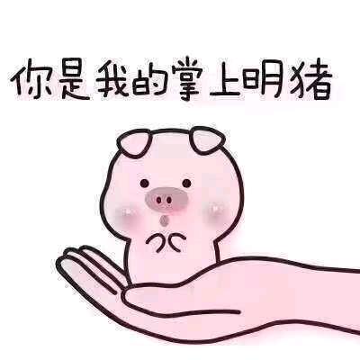 🐷宝宝