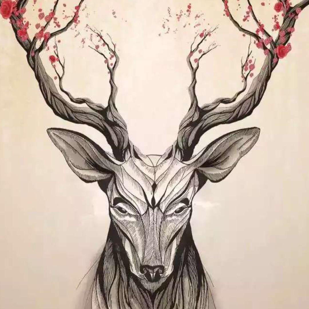 Adam_Tiger减重20斤/体脂15