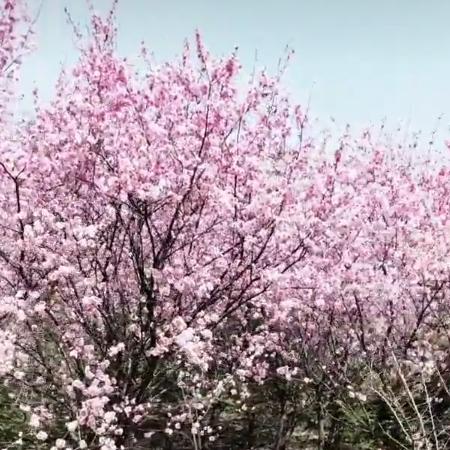 小天使