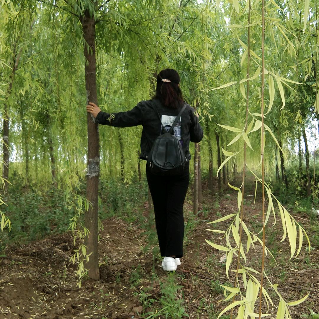 素颜