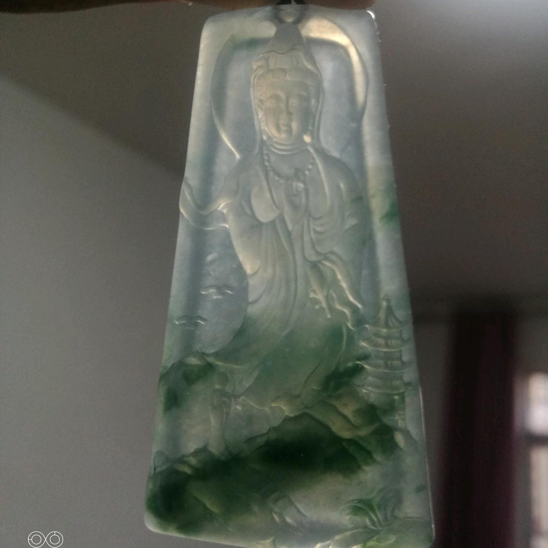 青蔥望冬青