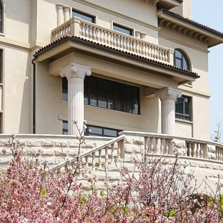 ₍ᐢ..ᐢ₎ ִִ小红帽