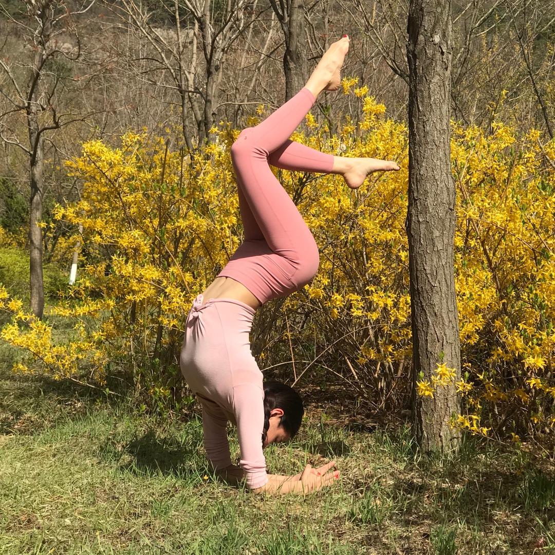 维亚瑜伽viayoga@抖音