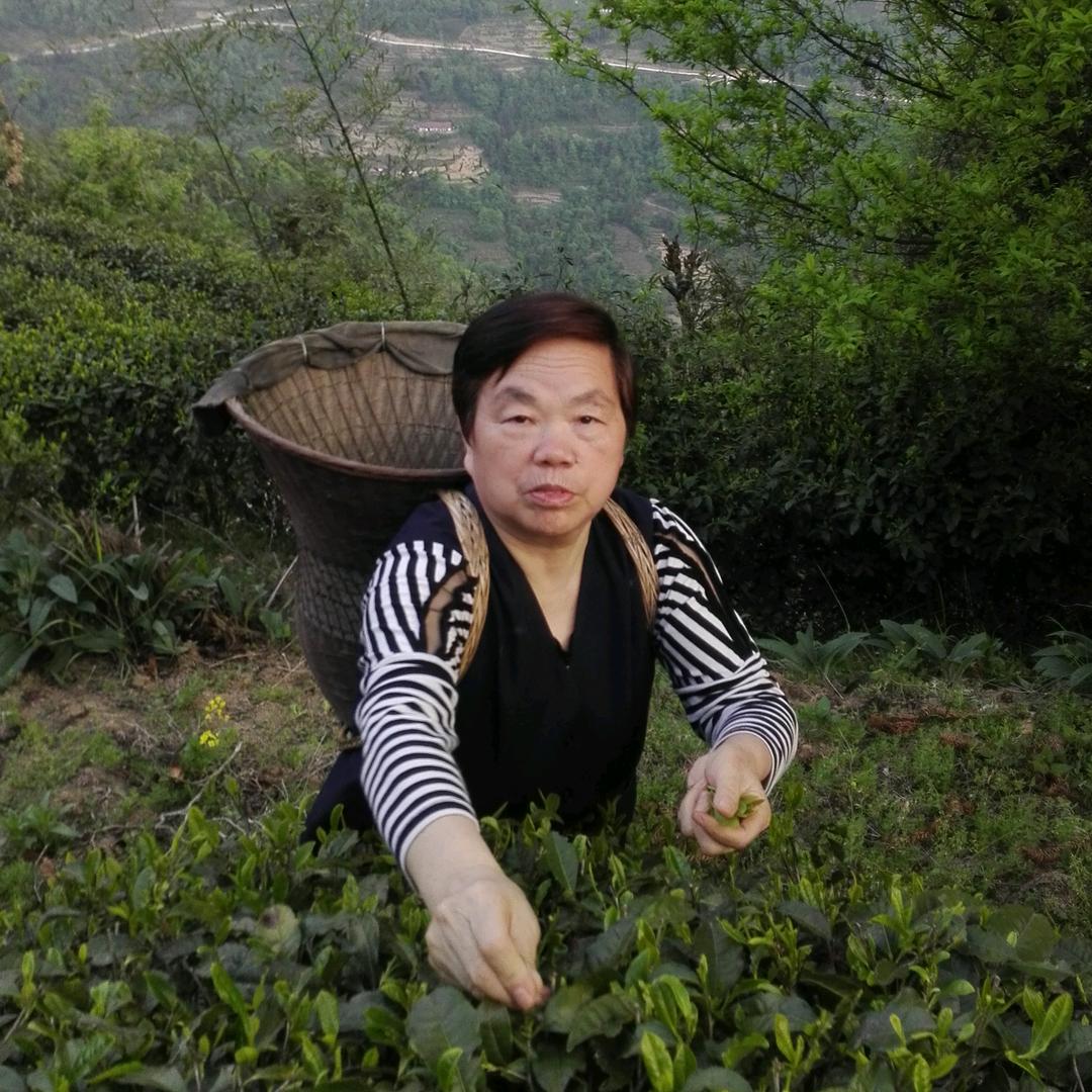 随缘