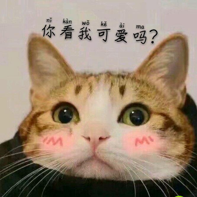 谁都有需求