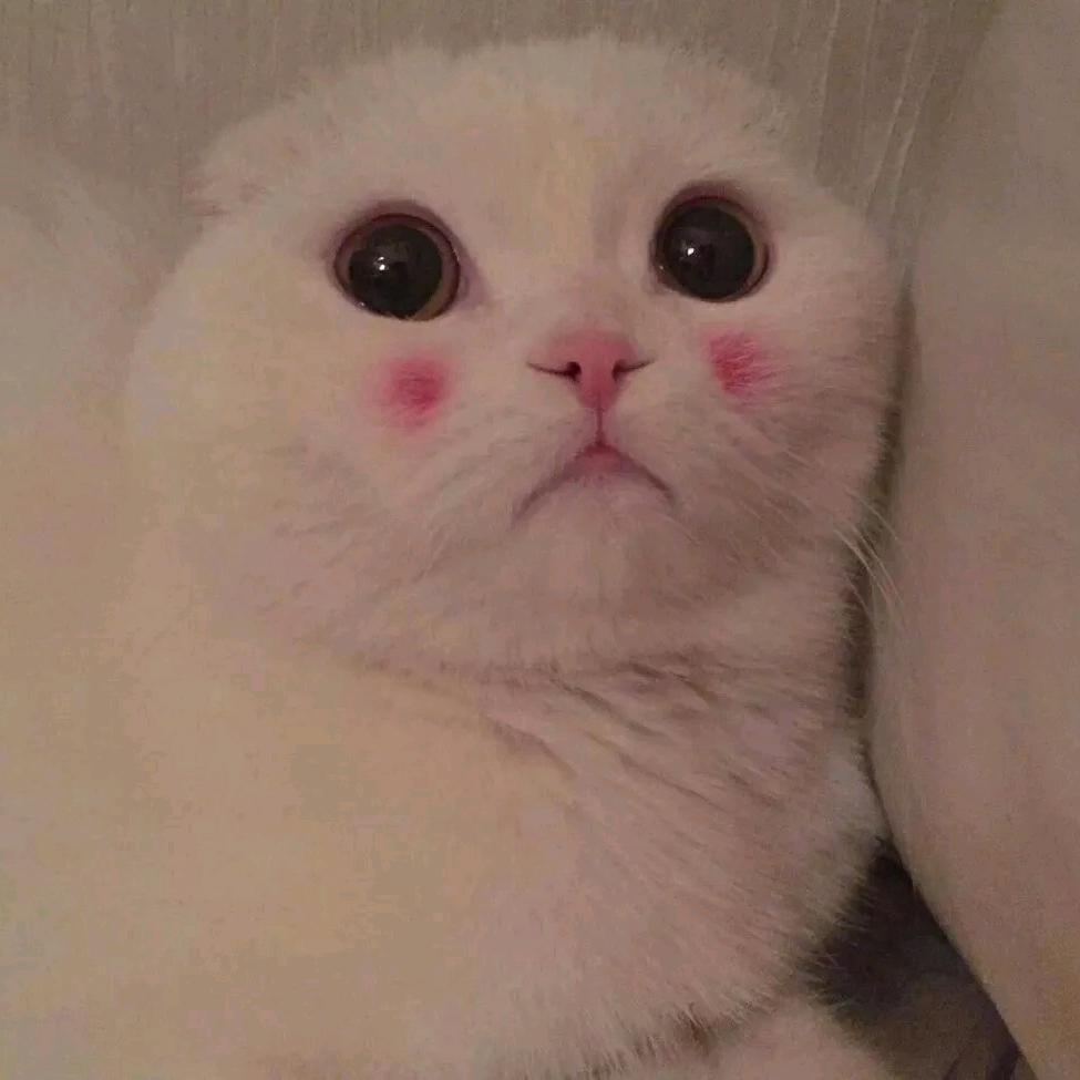 卖导弹的小女孩儿