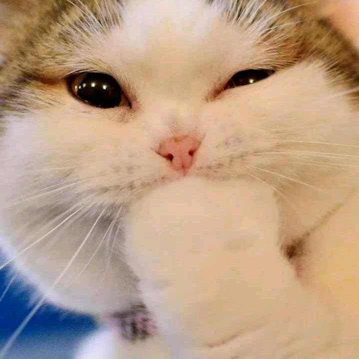 胡smile