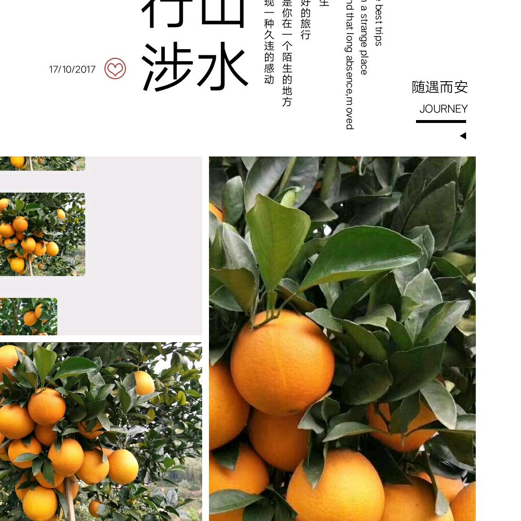 自由人生💃️💃️