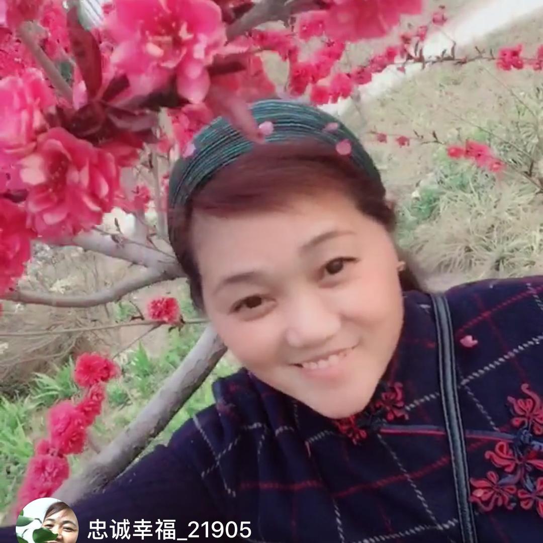 忠诚幸福