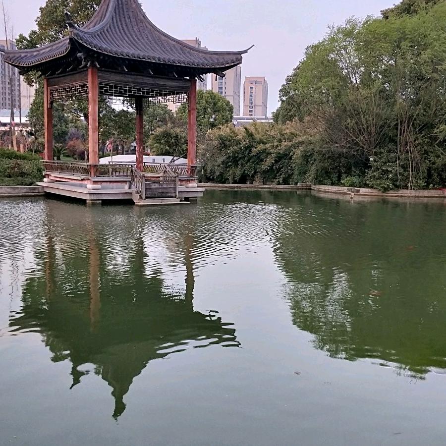 港城