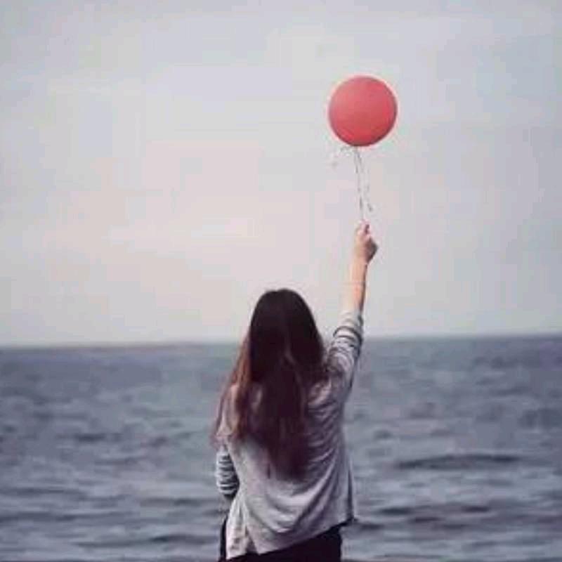 太阳花