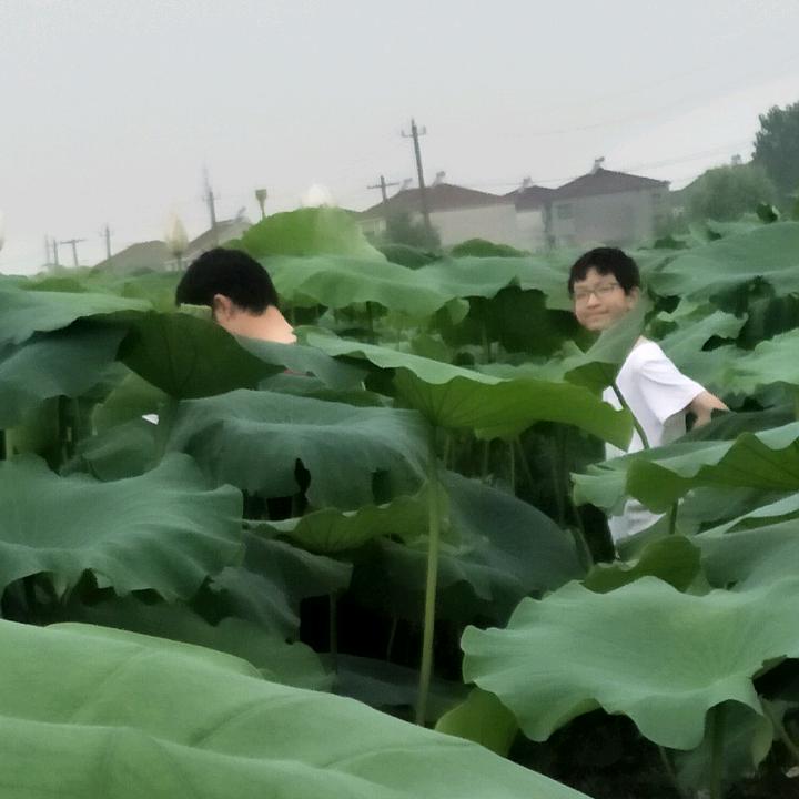 珍珍