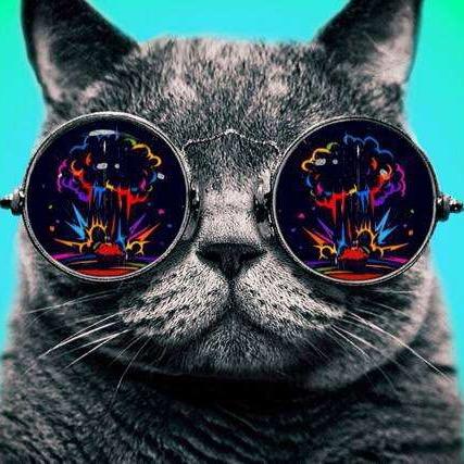 凌乱猫