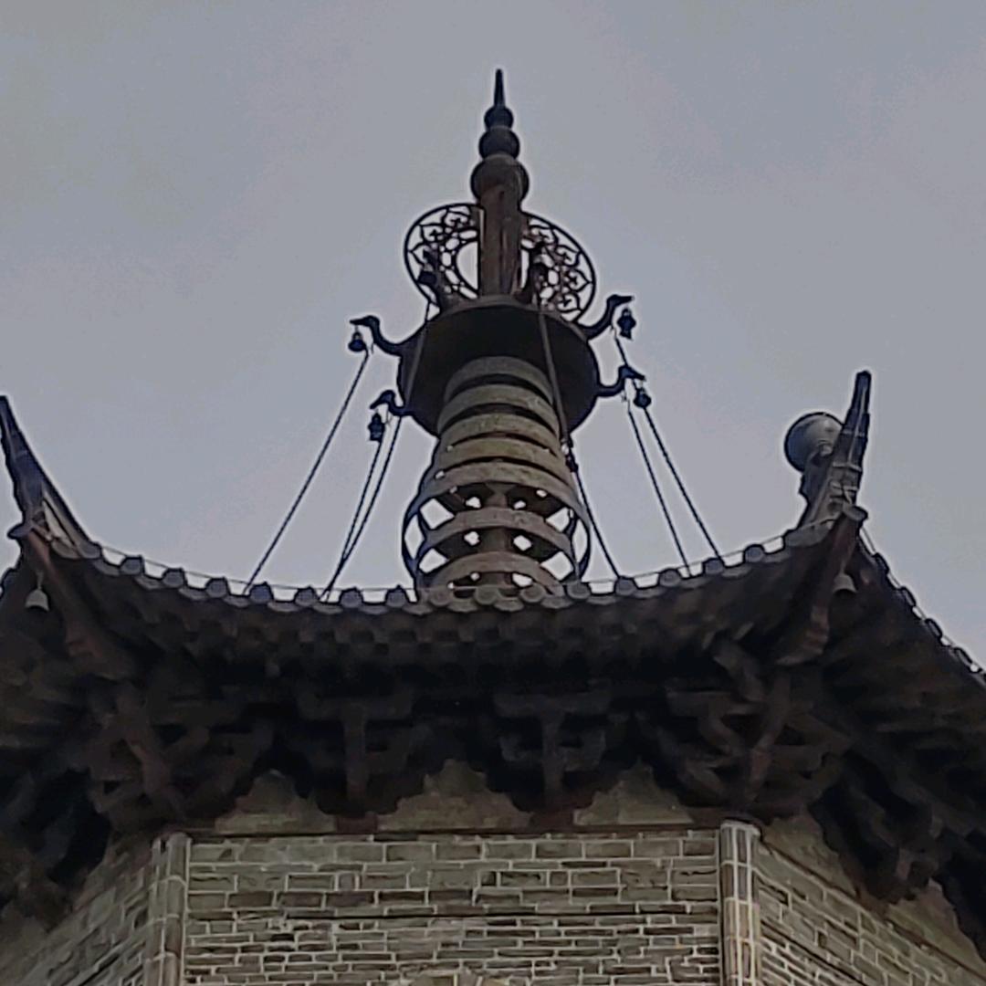 八卦洲生态农业