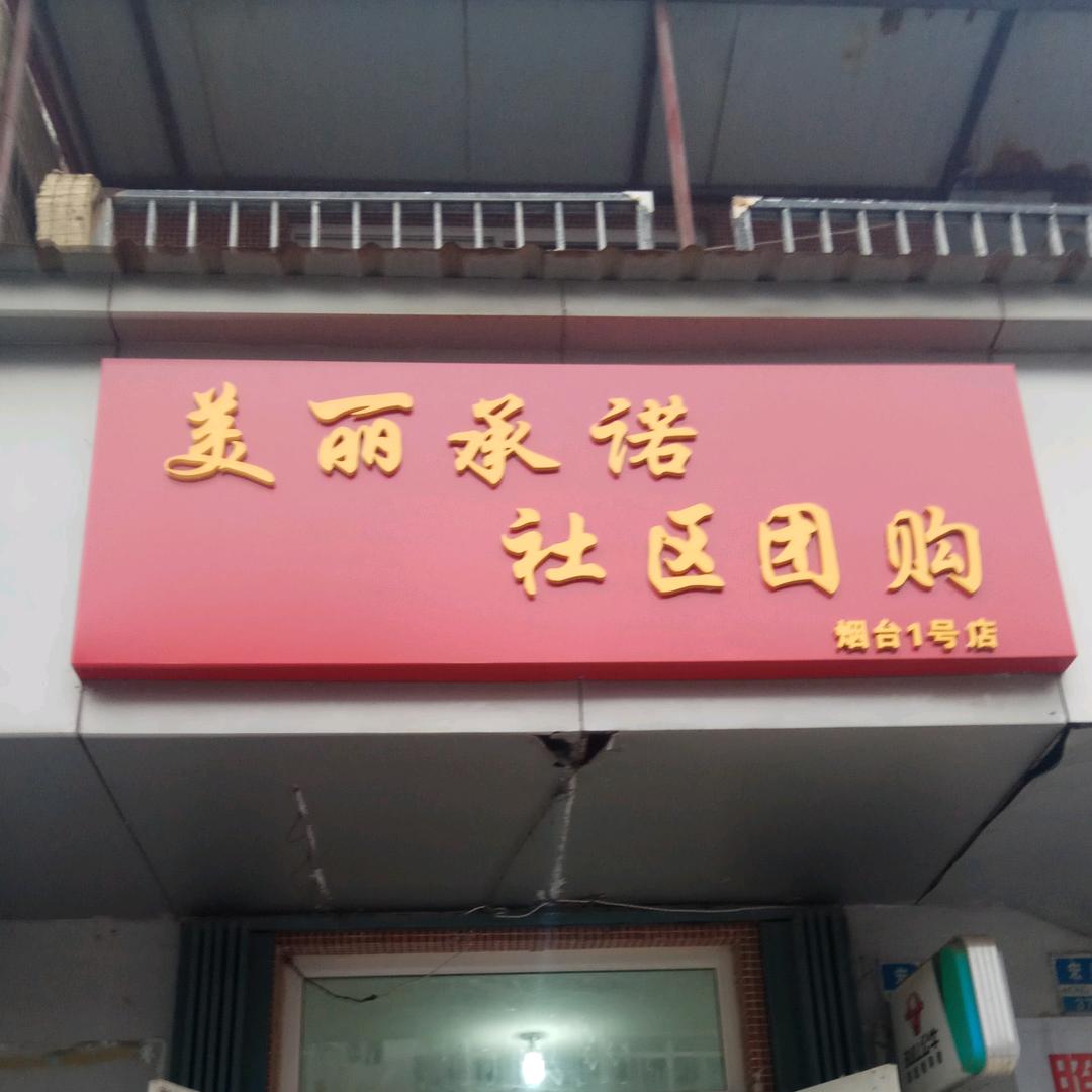 美丽承诺