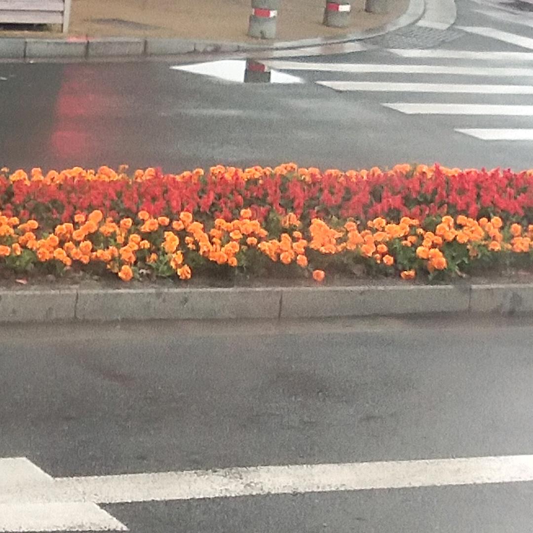 天在下雨。我在想你