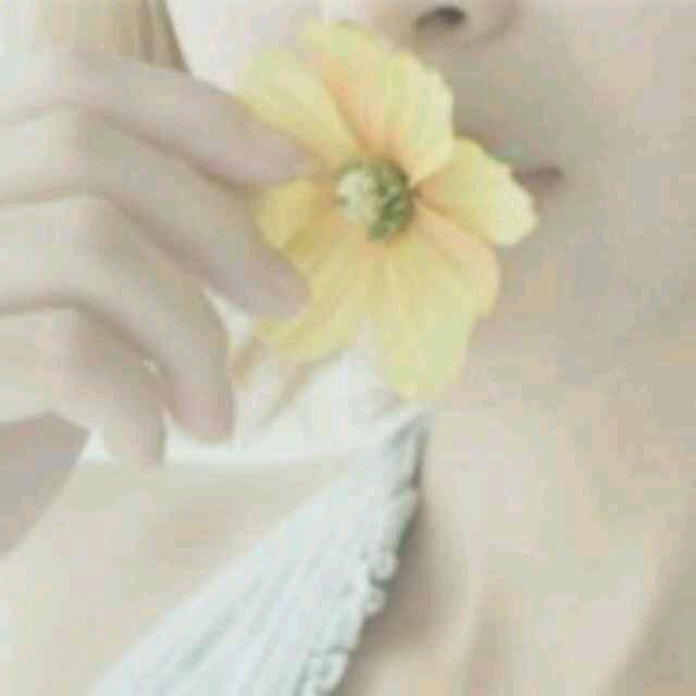 ’半颗糖/也甜……