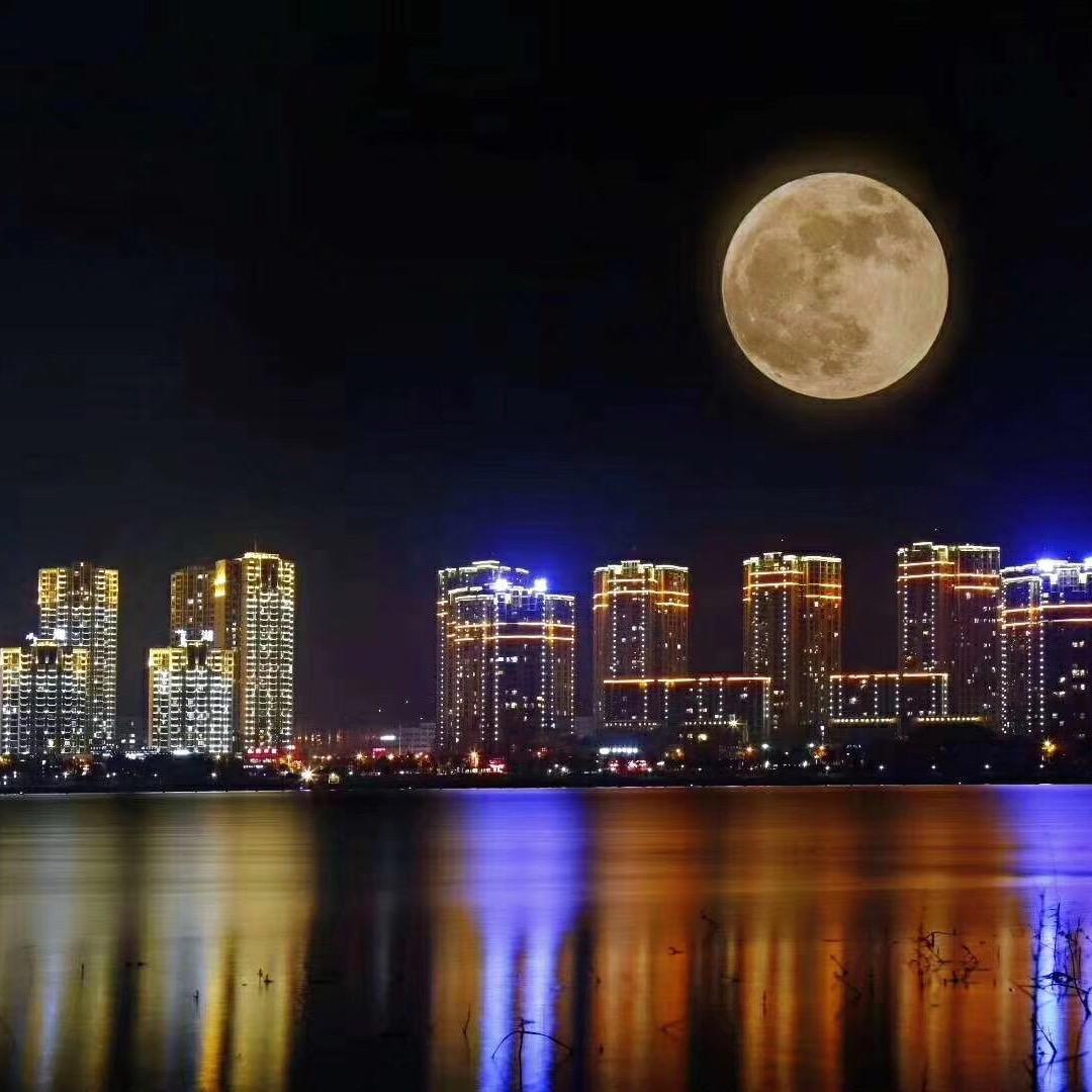 摆哥
