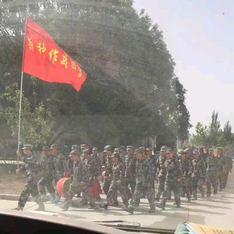 雅丽丽