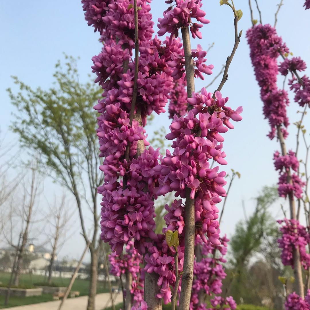 健康平安