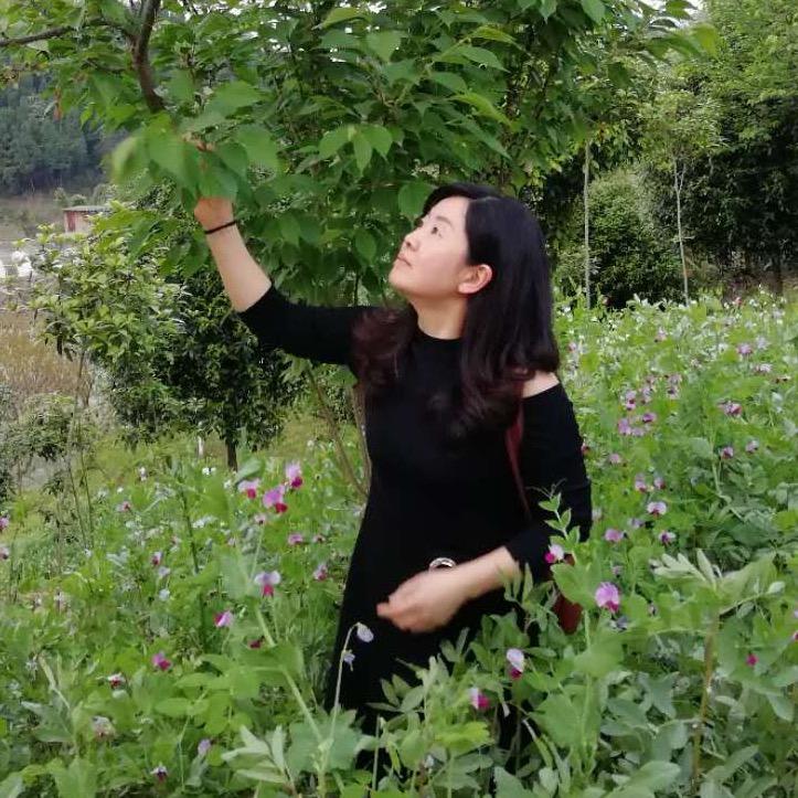 彩彩