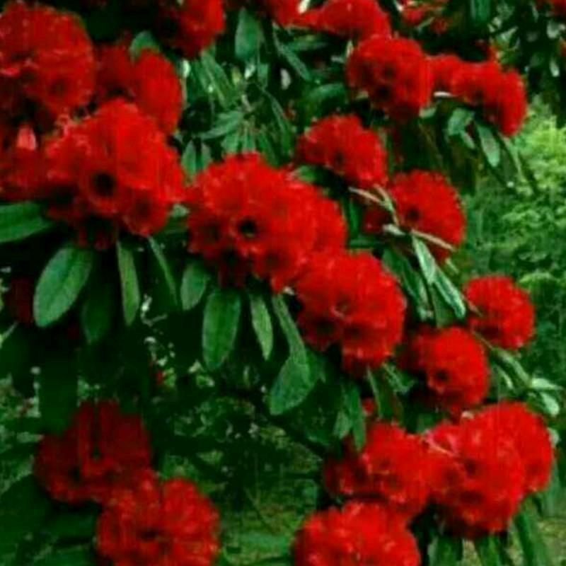 回忆家里有快乐