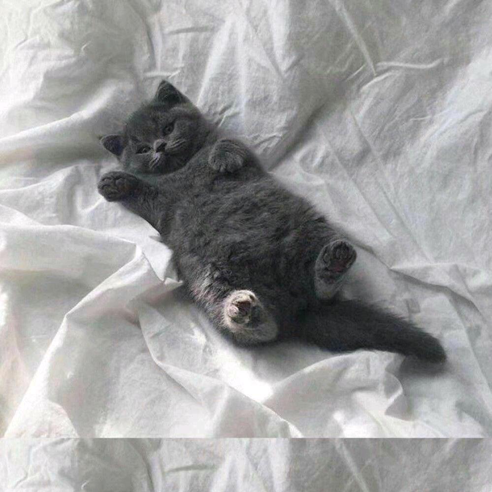 半缘修道半缘君