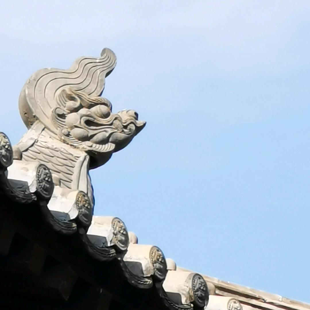 悠悠她爸