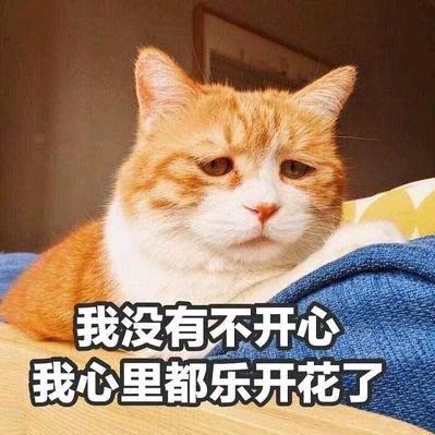 @不要@再来@伤害🚫@我