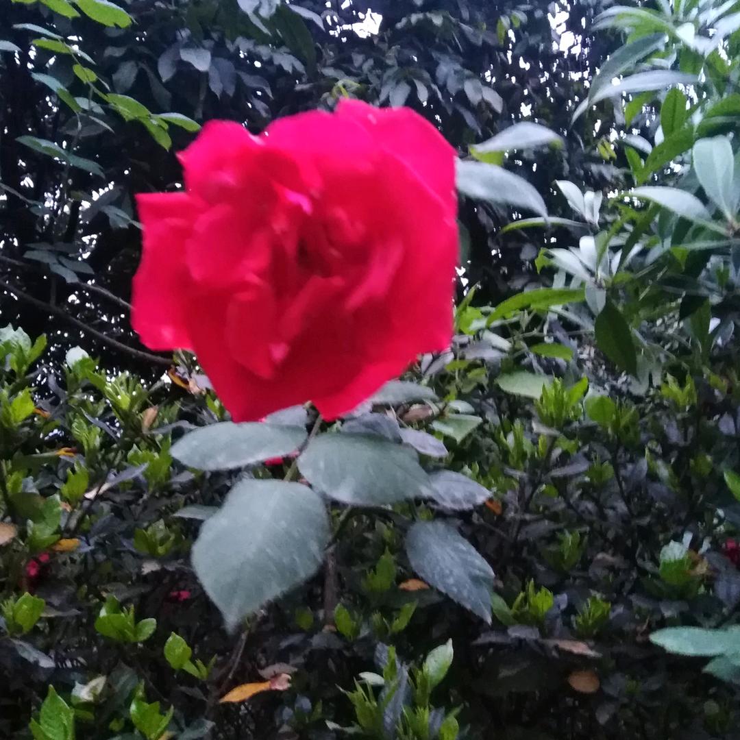@岁月静好